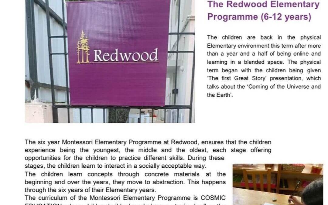 THE REDWOOD CHRONICLE