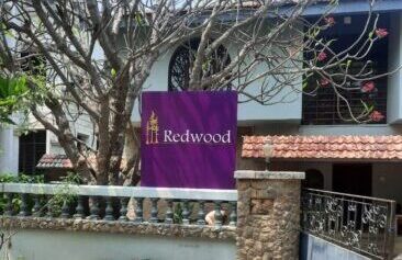 redwood-4