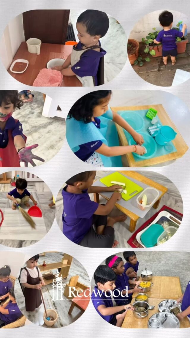 Workshop at Redwood.
Date - September 28th,2024 ( Saturday)
Venue - The Redwood Montessori School
No: 37, Mc Nicholas 2nd Lane ,Chetpet, Chennai-  31
Time - 10am to 12pm 
 
To Register call -
7845834252
.
.
.
#workshop #redwoodmontessori #madhuravisweswaran #madhurafied #workshopatschool #schoolreel #chennaireel #montessorischool #chennaischool
