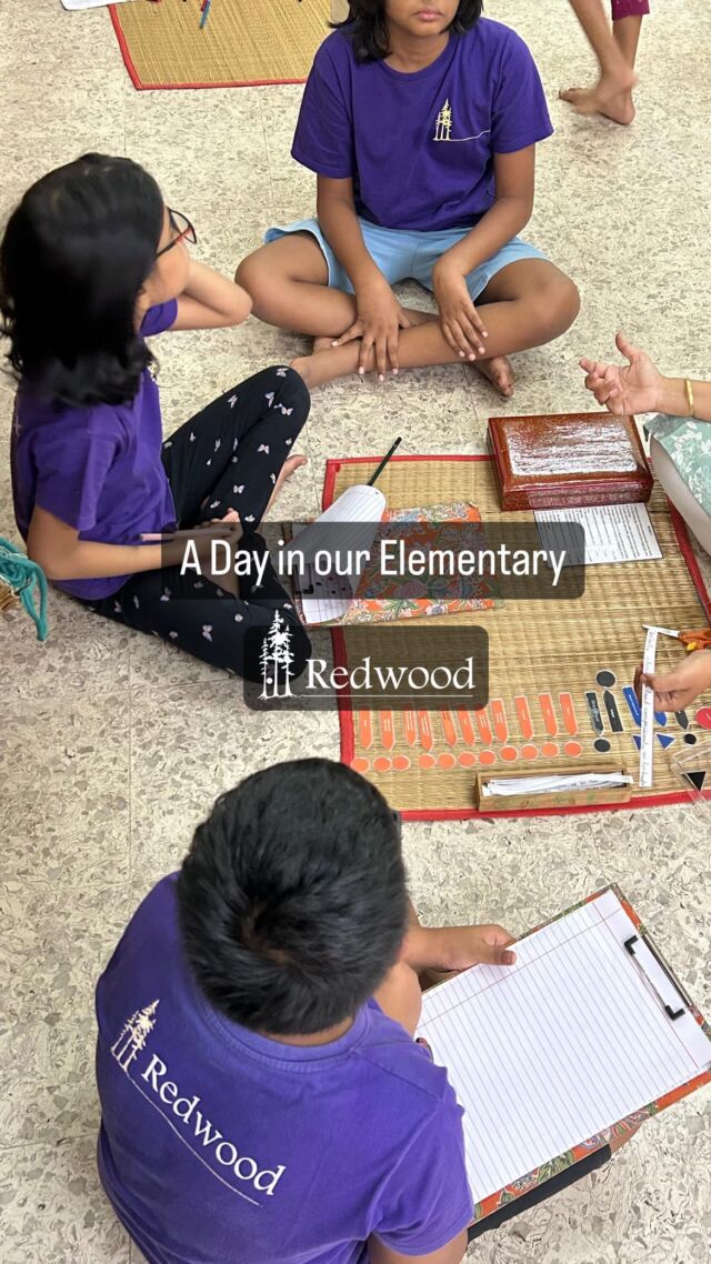 Glimpse of a child’s routine at the Redwood Elementary.
.
.
.
.
#elementary #elementaryschool #montessorischool #chennaischool #onedayinschool #chennaischools #schoolreels #chennaireels #montessoriactivities #montessorieducation #madhurafied #madhuravisweswaran #redwoodmonteseori