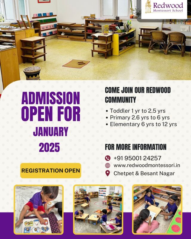 Come join our Redwood community.
January 2025 Admissions Open.
Call +91 95001 24257 and book your school visit  to know more about us. 
.
.
.
#admissionopen #schooladmission #chennaischool #montessorischool #chennaischooladmissions #chetpet #besantnagar #redwoodmontessori 
.
.
.
